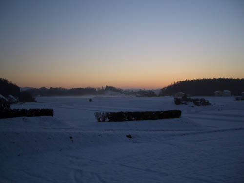 a0049090_0365235.jpg