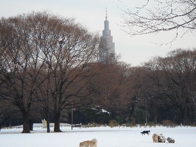 b0101991_1293169.jpg