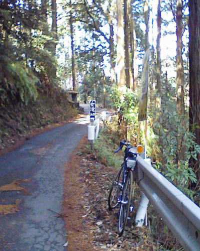 c0087392_22573772.jpg
