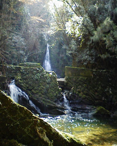 c0087392_22594214.jpg