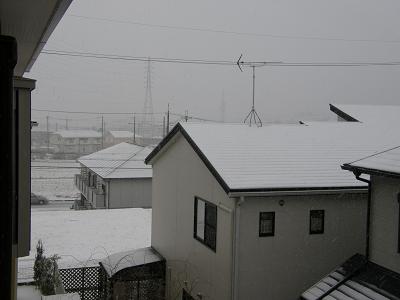 a0075993_2137592.jpg