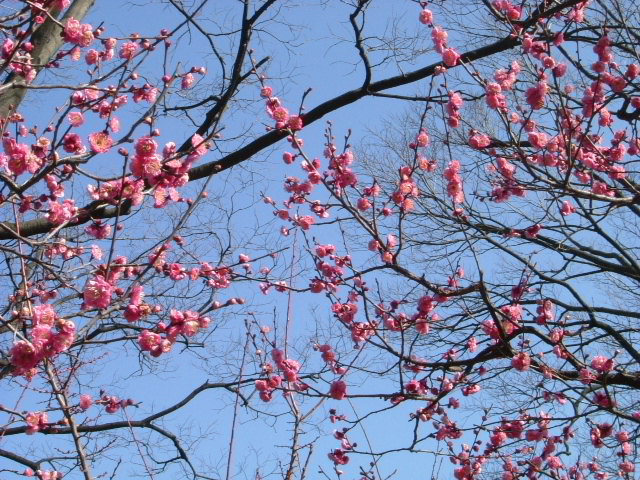 b0044296_2015128.jpg