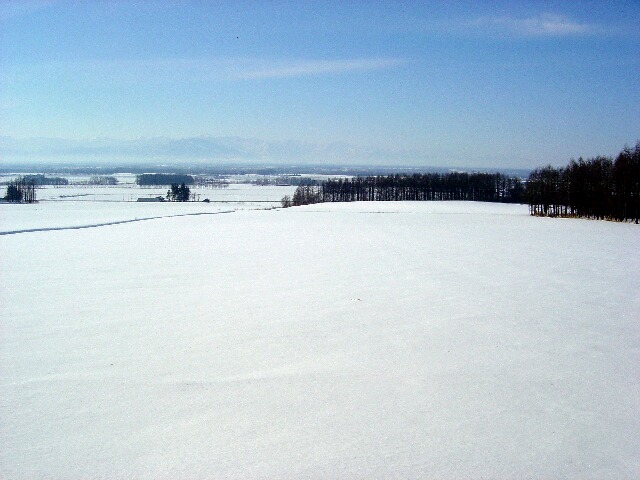 d0127101_18594961.jpg