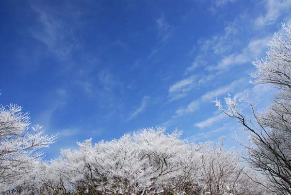a0044202_9242022.jpg