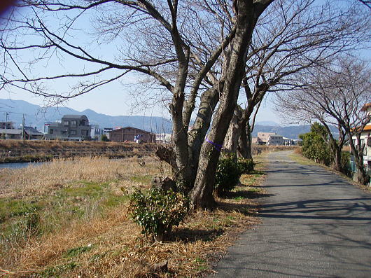 b0055202_19125324.jpg