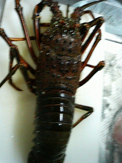 d0148202_21430100.jpg