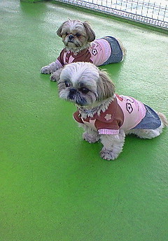 e0040602_2311101.jpg