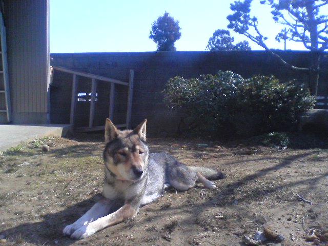 f0079202_1394635.jpg
