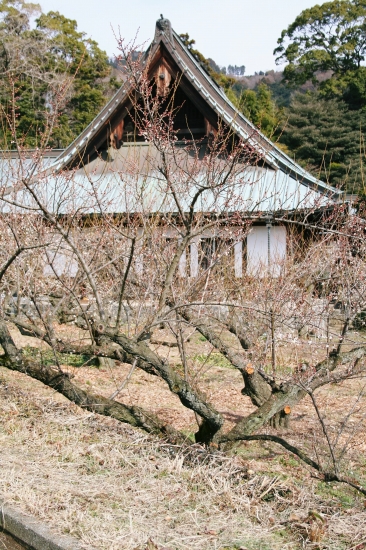 d0112003_21194064.jpg