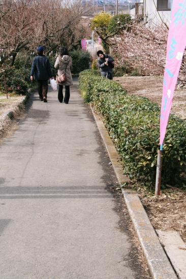 d0112003_2182427.jpg