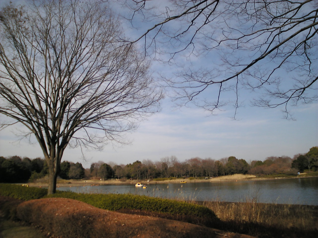 c0129604_21273153.jpg