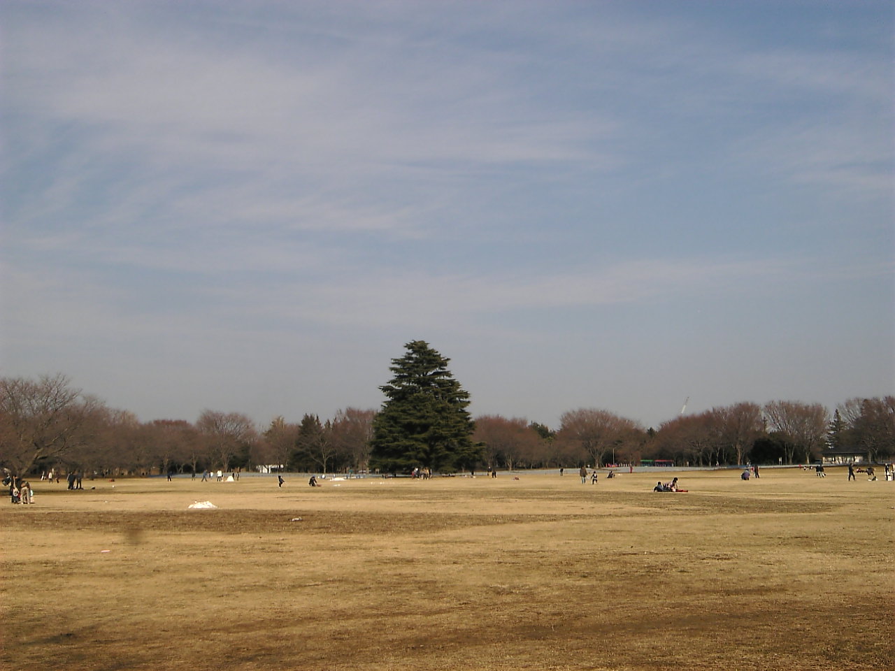 c0129604_2128665.jpg