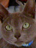 d0001008_8303283.jpg