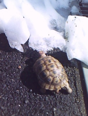 c0128710_23492662.jpg