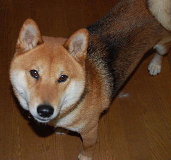 f0152315_0411051.jpg
