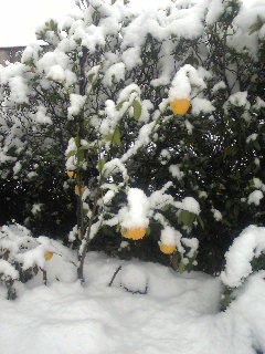 c0140516_1428176.jpg