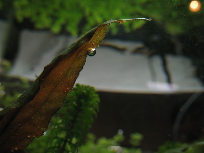 c0119618_8585439.jpg