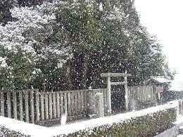 f0000521_718618.jpg