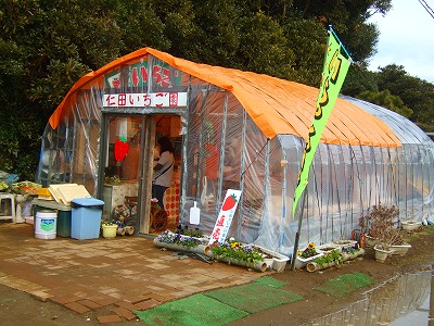 d0023323_22127100.jpg