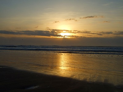 d0023323_2254481.jpg
