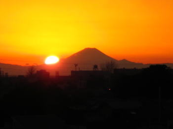 b0028524_752233.jpg