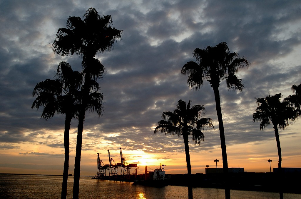 c0106831_2328676.jpg