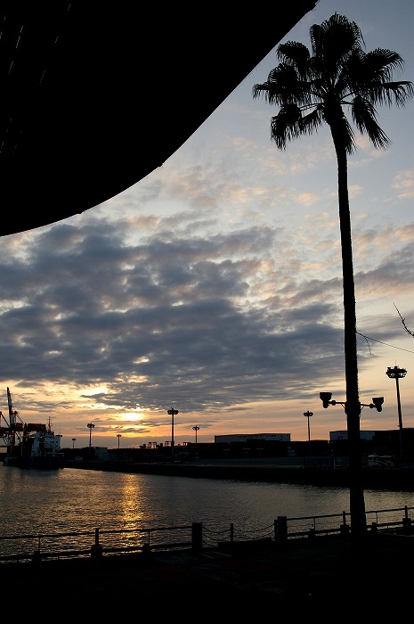 c0106831_23373100.jpg