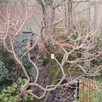 d0033734_11143729.jpg