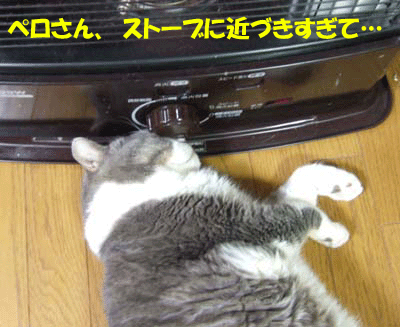 f0008935_16304048.gif