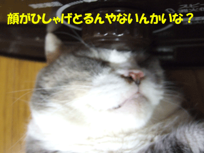 f0008935_16305756.gif