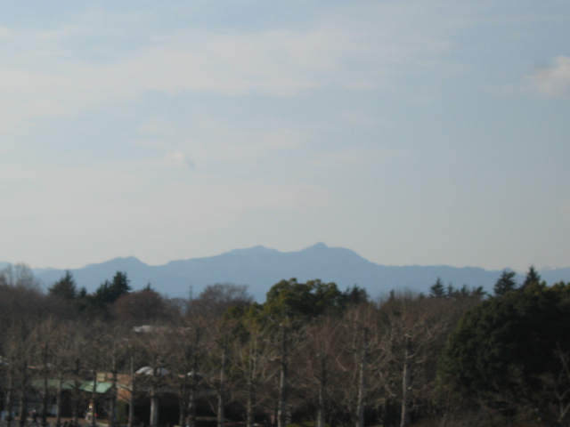 b0088037_10435823.jpg