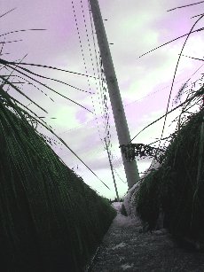 f0147037_9351213.jpg