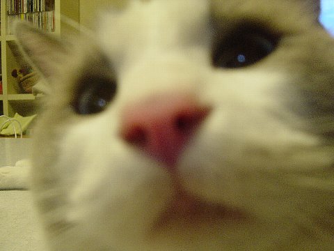 a0062240_16462272.jpg