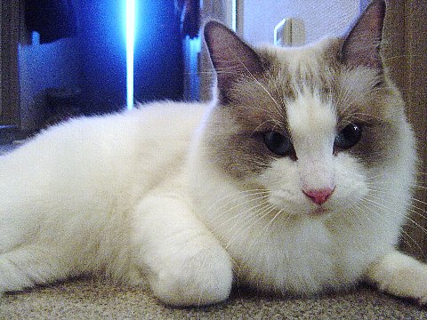 a0062240_16494387.jpg