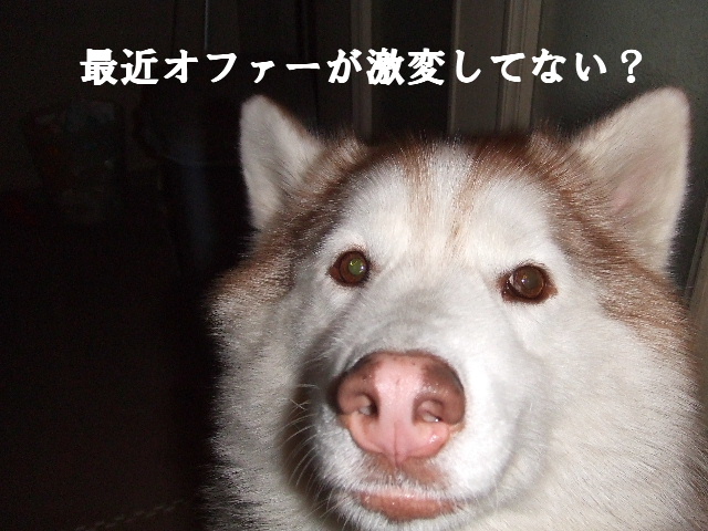 e0121548_1219157.jpg