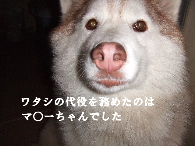 e0121548_12214064.jpg