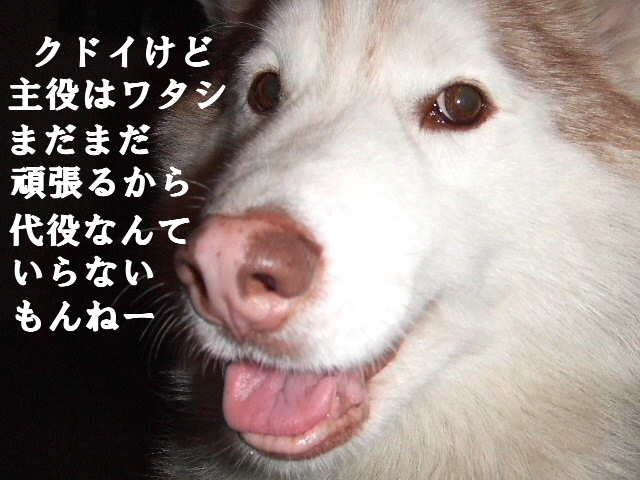 e0121548_1223890.jpg