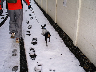 c0123149_1552876.jpg