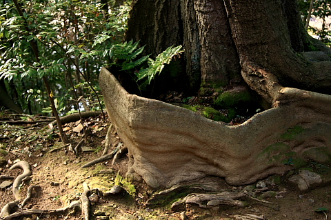 a0024250_12142635.jpg
