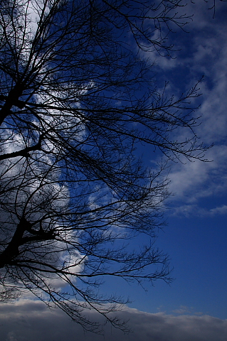 a0024250_12145745.jpg