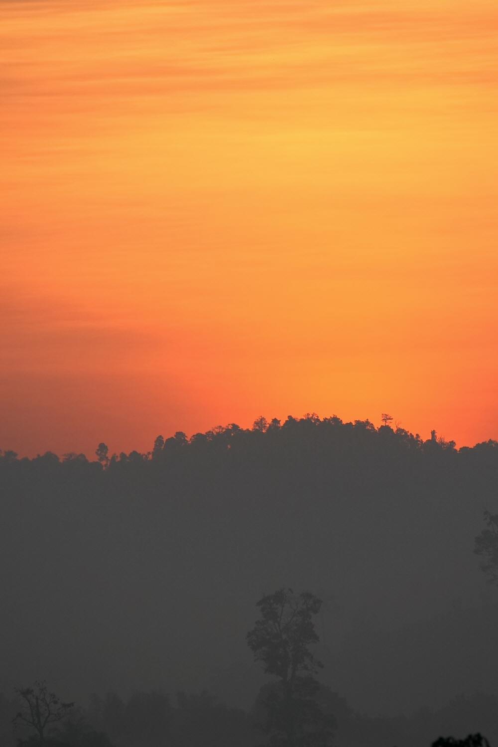 a0094850_2315888.jpg