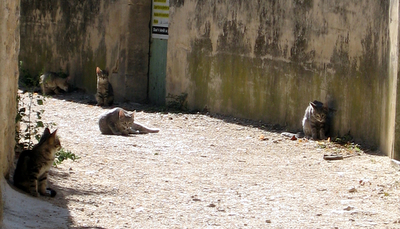 a0073357_21132030.jpg