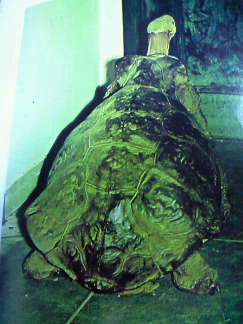 f0009758_10272934.jpg