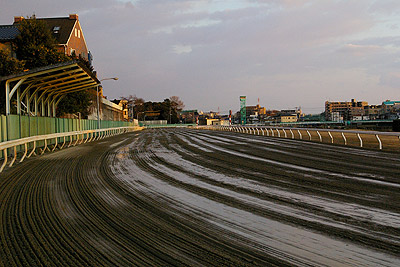 e0088570_2592512.jpg