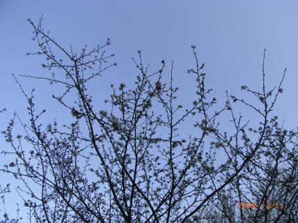 b0002879_2022675.jpg