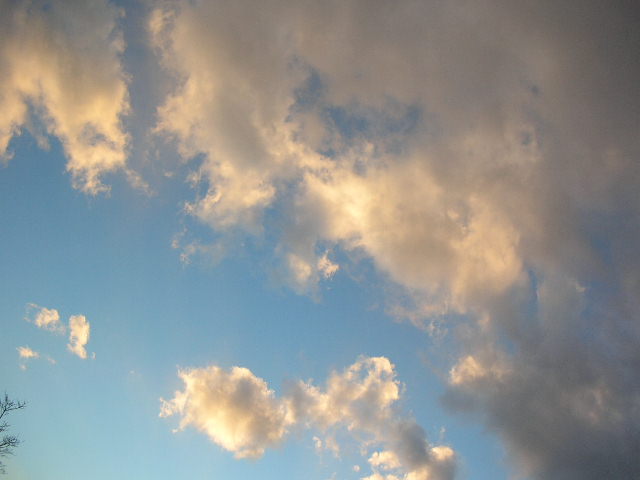c0141279_22583231.jpg