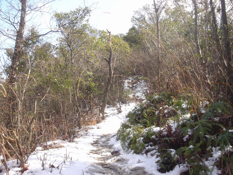 a0004180_1971732.jpg