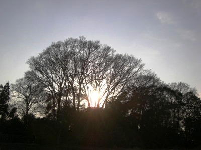 c0078480_21262143.jpg