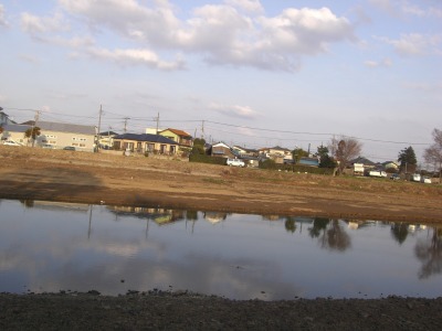 c0078480_213395.jpg