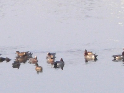 c0078480_21402130.jpg
